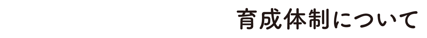 Development 育成体制について