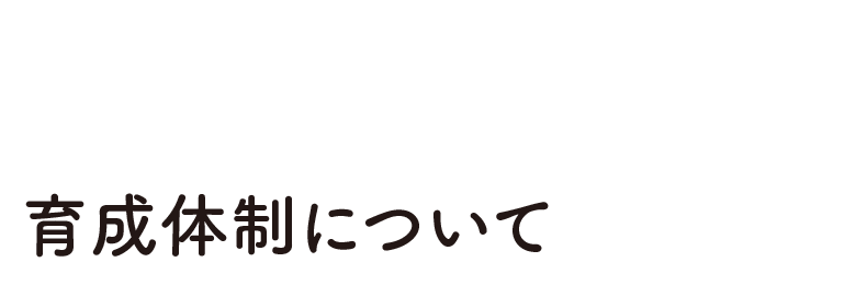 Development 育成体制について